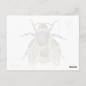  bijenzwart en geel Antiek honingbijen Briefkaart (Achterkant)