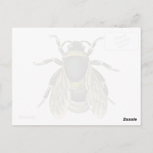  bijenzwart en geel Antiek honingbijen Briefkaart (Achterkant)