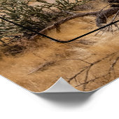 Bijgeloof Berg, Arizona Poster (Hoek)