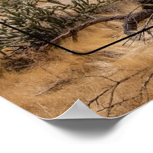 Bijgeloof Berg, Arizona Poster (Hoek)