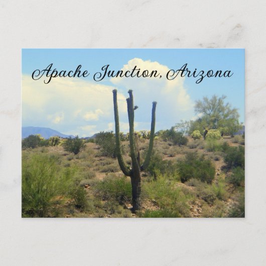 Bijgeloof schoonheid Apache Junction, Arizona Briefkaart (Voorkant)