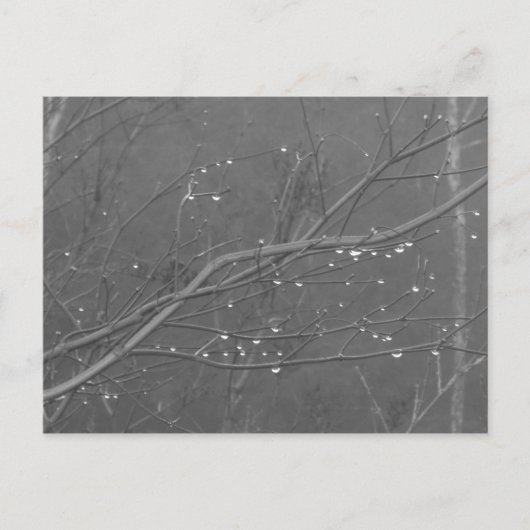 Bijkantoor in de regen briefkaart (Voorkant)