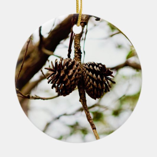 Bijkantoor met Pinecones Keramisch Ornament (Voorkant)