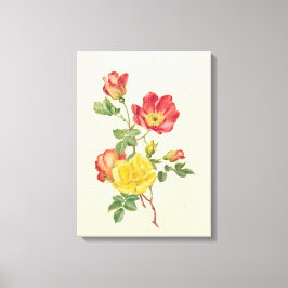 Bijkantoor van wilde rozen, Antoinette Luden Canvas Afdruk