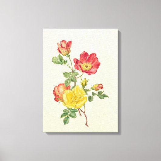 Bijkantoor van wilde rozen, Antoinette Luden Canvas Afdruk (Voorkant)