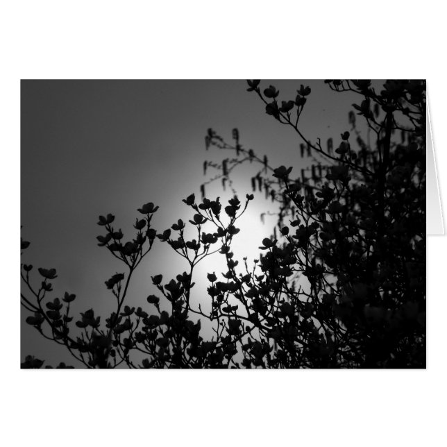 Bijkantoren (Voorkant Horizontaal)