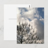 Bijkantoren in de wolken briefkaart (Voorkant / Achterkant)