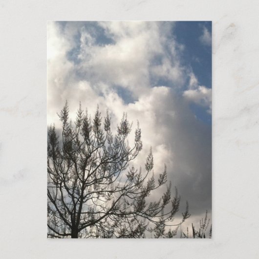 Bijkantoren in de wolken briefkaart (Voorkant)