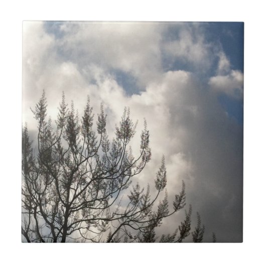 Bijkantoren in de wolken tegeltje (Voorkant)