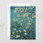 Bijkantoren met Almond Blossom door Vincent Van Go Briefkaart (Voorkant / Achterkant)