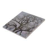 bijkantoren tegeltje (Zijkant)