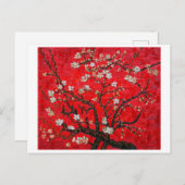 Bijkantoren van de amandelboom in Blossom, Van Gog Briefkaart (Voorkant / Achterkant)