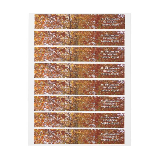 Bijkantoren van de najaarsbeweging van de Sinaasap (Vel)