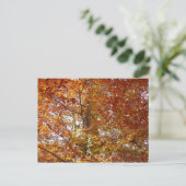 Bijkantoren van de najaarsbeweging van de Sinaasap Briefkaart (Staand voorkant)