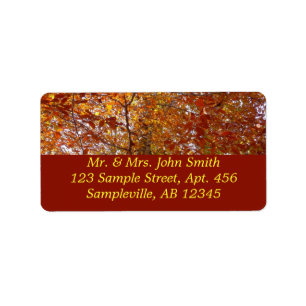 Bijkantoren van de najaarsbeweging van de Sinaasap Etiket