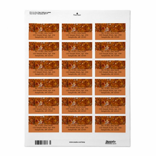 Bijkantoren van de najaarsbeweging van de Sinaasap Etiket (Full Sheet)