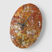 Bijkantoren van de najaarsbeweging van de Sinaasap Grote Klok (Hoek)