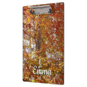 Bijkantoren van de najaarsbeweging van de Sinaasap Klembord (Links)