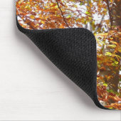 Bijkantoren van de najaarsbeweging van de Sinaasap Muismat (Hoek)