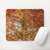 Bijkantoren van de najaarsbeweging van de Sinaasap Muismat (Met muis)