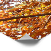 Bijkantoren van de najaarsbeweging van de Sinaasap Poster (Hoek)