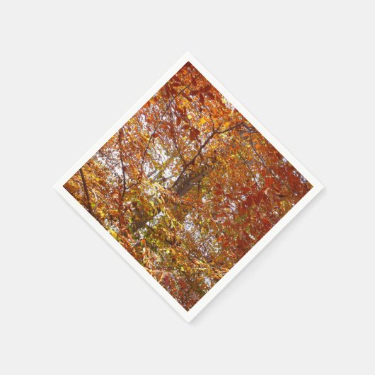 Bijkantoren van de najaarsbeweging van de Sinaasap Servetten (Hoek)