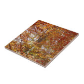 Bijkantoren van de najaarsbeweging van de Sinaasap Tegeltje (Zijkant)