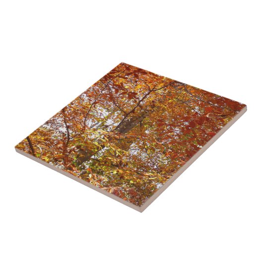 Bijkantoren van de najaarsbeweging van de Sinaasap Tegeltje (Zijkant)