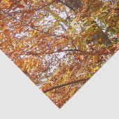 Bijkantoren van de najaarsbeweging van de Sinaasap Tissuepapier (Detail)