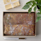 Bijkantoren van de najaarsbeweging van de Sinaasap Tissuepapier (Geschenk)