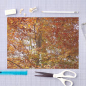 Bijkantoren van de najaarsbeweging van de Sinaasap Tissuepapier (Craft)