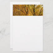 Bijkantoren van gele bladeren Helderheid in de her Briefpapier (Voorkant / Achterkant)