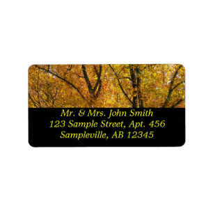 Bijkantoren van gele bladeren Helderheid in de her Etiket