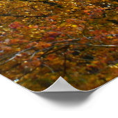 Bijkantoren van gele bladeren Helderheid in de her Poster (Hoek)