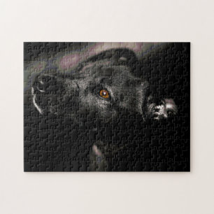 Bijna alle zwarte, zoete dog Puzzle uitdagen Legpuzzel