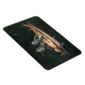 Bijna de dood ervaring zien van boze demonische ge magneet (Rechterzijde)