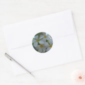 Bijna eetbare Frangipani Ronde Sticker (Envelop)