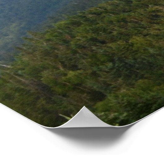 BIJNA HEAVEN. POSTER (Hoek)