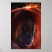 Bijna menselijk poster (Voorkant)