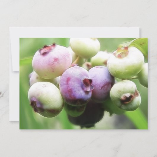 Bijna rijp — Blauwe bessen Kaart (Achterkant)