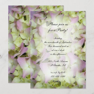 Bijna-roze hydrangea-bloemen Alle bezoekers Kaart