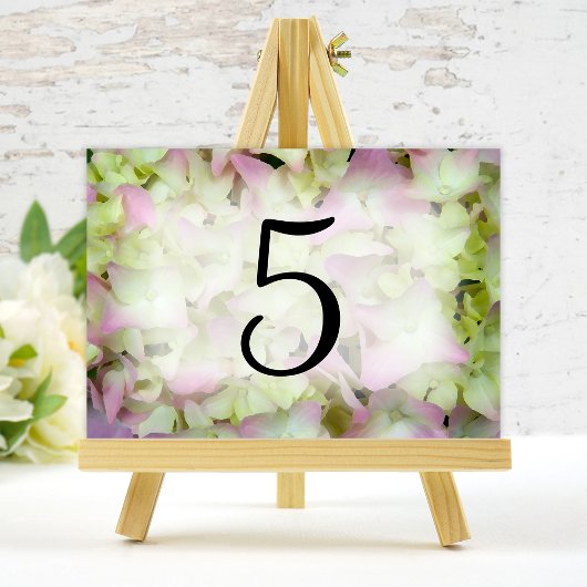 Bijna Roze Hydrangea Bloemen Tafel Nummers Kaart