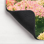 Bijna-sedumventiel Muismat (Hoek)