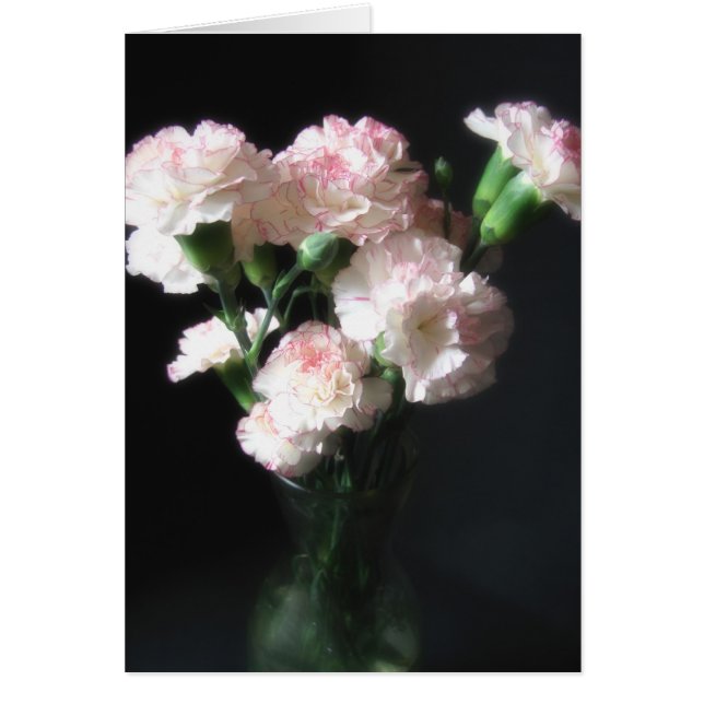 Bijna witte anjers 2 (Voorkant)