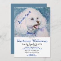 BIJON FRISE PUPPY WENS HARTELIJK GEFELICITEERD MET