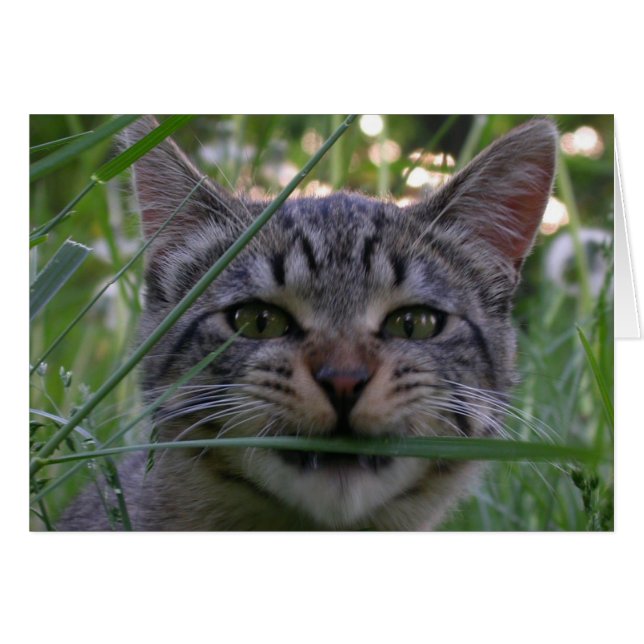 Bijou Grass (Voorkant Horizontaal)