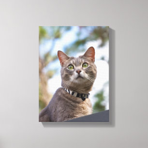 Bijou op de weg canvas afdruk
