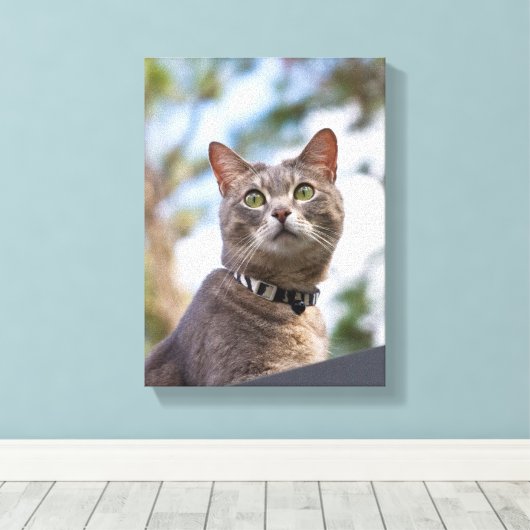 Bijou op het dak canvas afdruk (Insitu (Houten vloer))