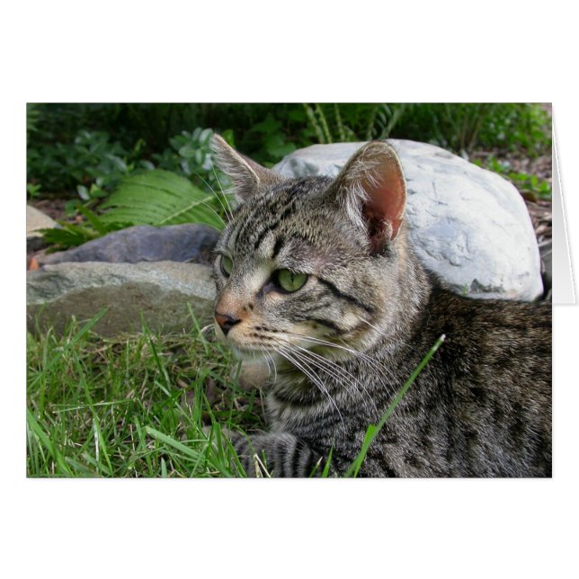 Bijou Stone (Voorkant Horizontaal)