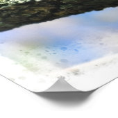 Bijt in boom Sojourner Waarheidscitaat Poster (Hoek)